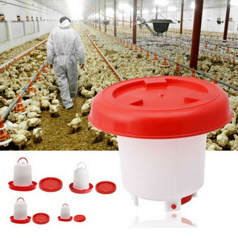 1.5L 2.5L 4L Chook Chicken Feeder Drinker Poultry Aviary Automatic Feeder Waterer Drinker Farm Home Chick Drinking Tool
