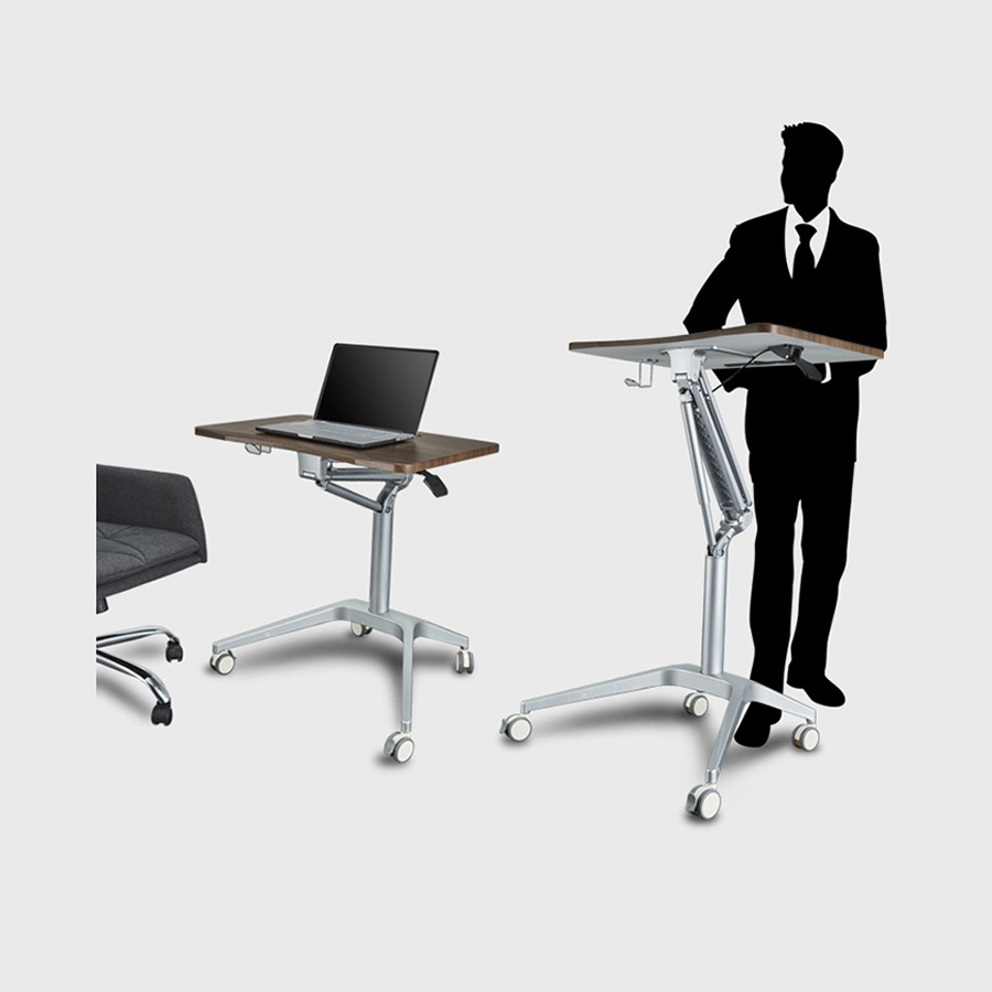 Movable Lap Top Trays