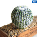 Artificial Succulents Plant Garden Miniature Fake Cactus DIY Home Floral Decoration Wedding Office Garden Decorative Plant