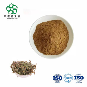 Dandelion Herb Dandelion Extract Powder