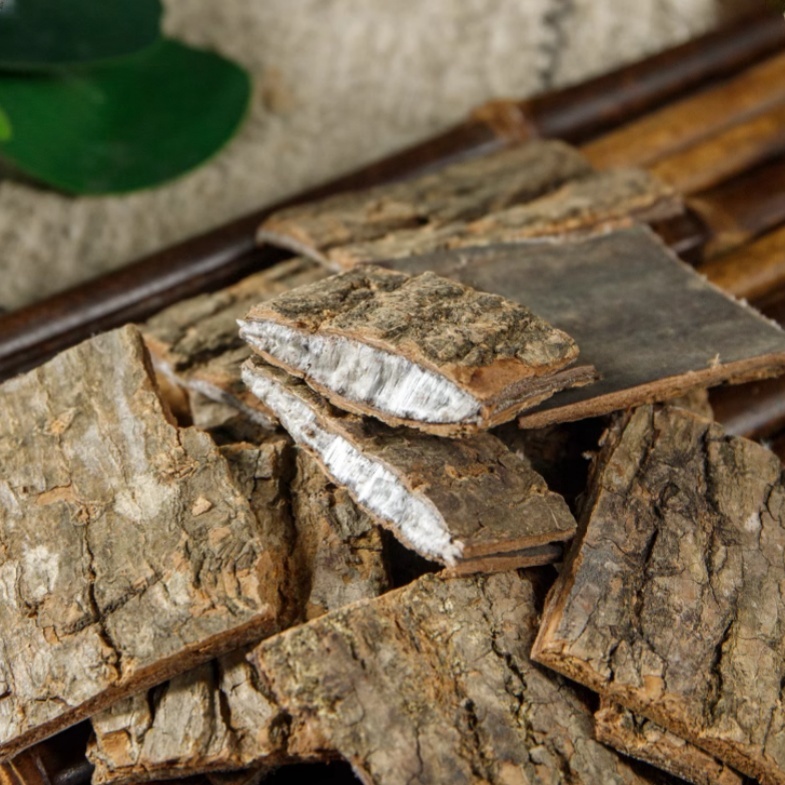 Eucommia Bark3