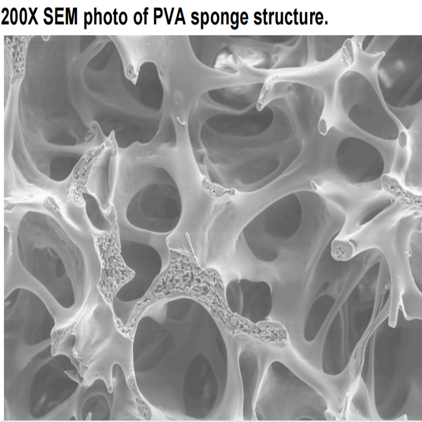 PVA Brush