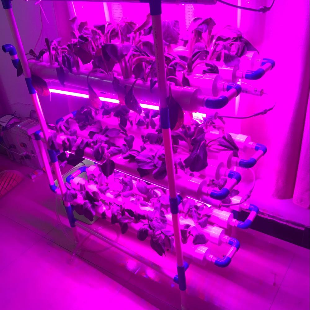 Led Hydroponics system