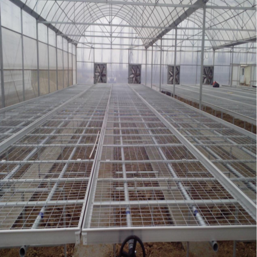 Steel greenhouse rolling benches extremely durable Manufacturers and Steel greenhouse rolling benches extremely durable Suppliers