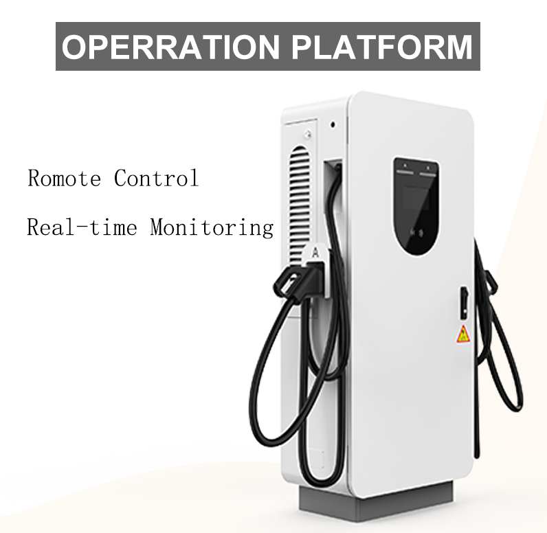 60kW 80kW Ground Mounted DC Charger Double Guns