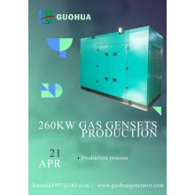 260KW Natural Gas Generator Set,Biogas,CNG