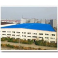 Special liquid coiled material for metal roof