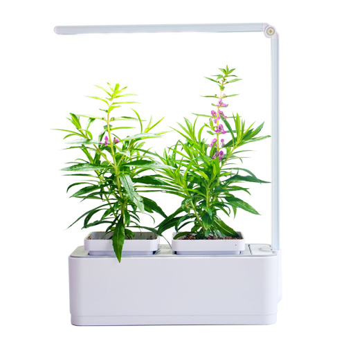 Smart Led Light Hydroponic Systems indoor Flower Pot Manufacturers and Smart Led Light Hydroponic Systems indoor Flower Pot Suppliers