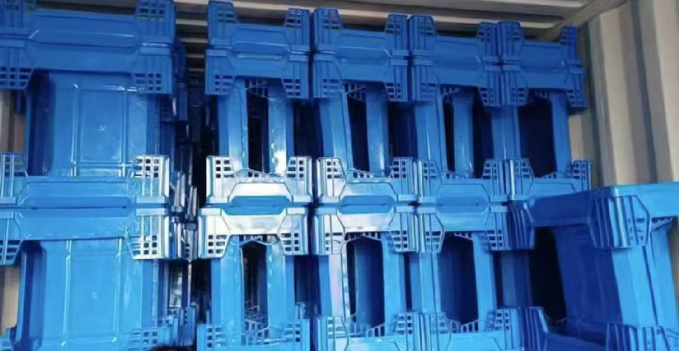 insect breeding tray