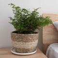 Dia. 18cm 22cm 25cm Rice White Large Straw Woven Natural Seaweed Floor Planting Basket Flower Pot