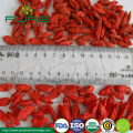 Chinese Superfood Organic Goji Berry