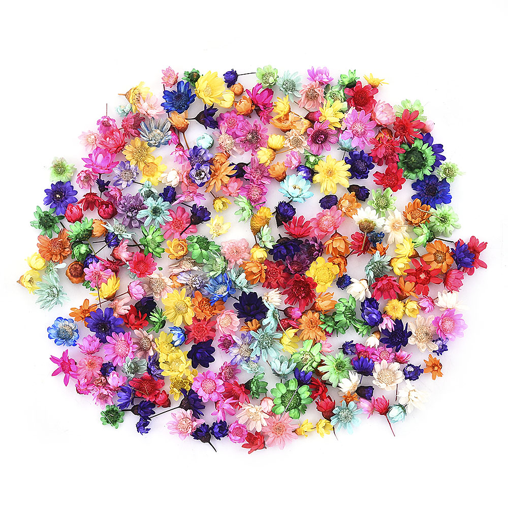 200PCS Dried Flower Head Daizy Glass Cover Nail Art Filling Epoxy Hand Craft DIY