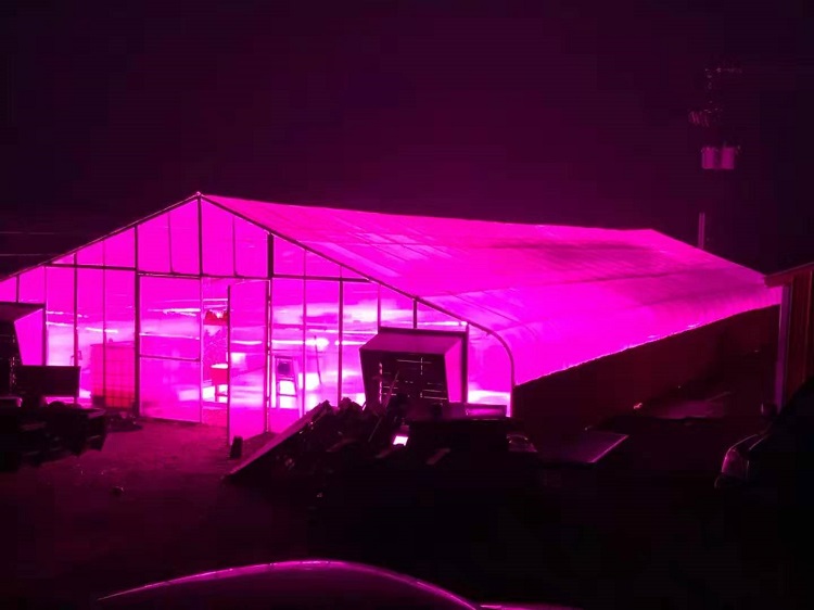 grow light