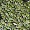 Chinese dried pumpkin seed kernel export