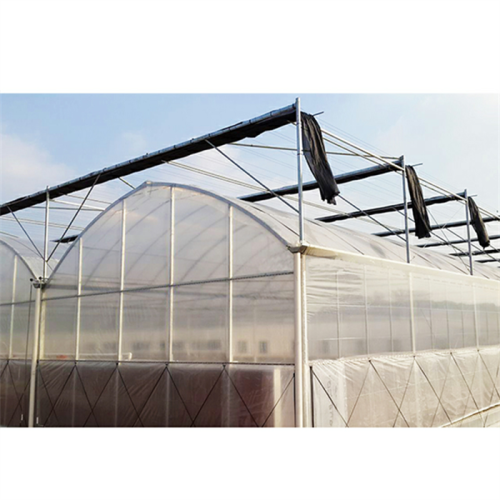 Multi Span Plastic Film Greenhouse For Agriculture Manufacturers and Multi Span Plastic Film Greenhouse For Agriculture Suppliers