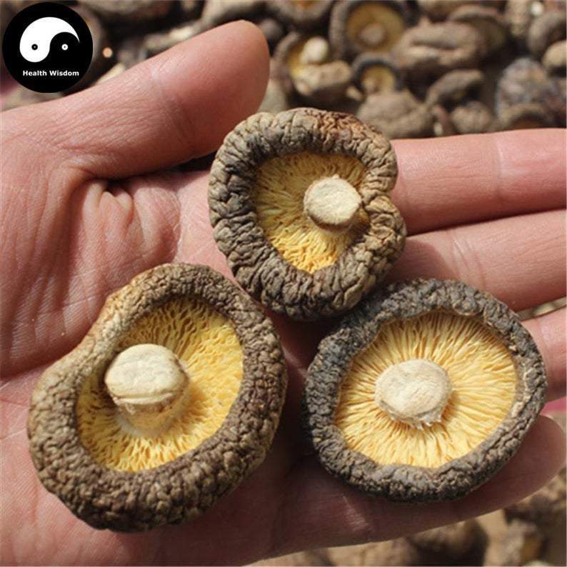 Lentinan Mushroom, Chinese Shiitake Mushroom, Xiang Gu