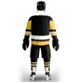 EALER free shipping Pittsburgh Penguin fans Training wear ice hockey jersey s in stock customized cheap high quality