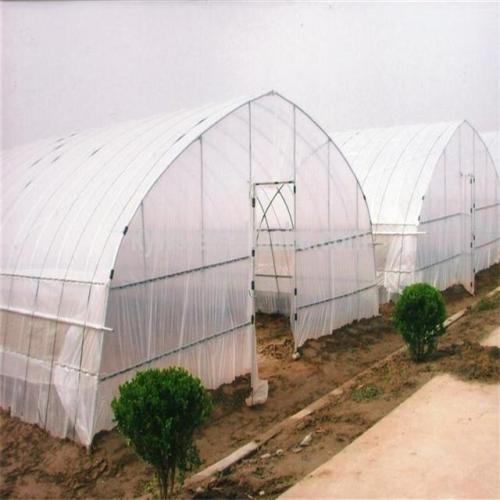 Single Span Plastic Film Green house For Plant Manufacturers and Single Span Plastic Film Green house For Plant Suppliers