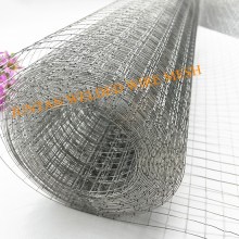 stainless steel welded wire mesh for mice