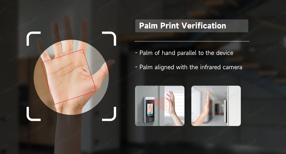 Palm recognition system