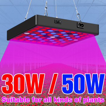 Growth Light LED Grow Lamp 30W 50W Full Spectrum LED Plant Lighting Fitolampy AC100-277V For Phyto Flowers Seedling Cultivation