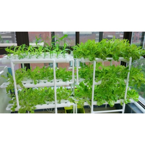 NFT 12 pipe indoor home hydroponic gardening Manufacturers and NFT 12 pipe indoor home hydroponic gardening Suppliers