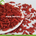 Improve Eyesight Nutrition Fruit Red Conventional Goji Berry