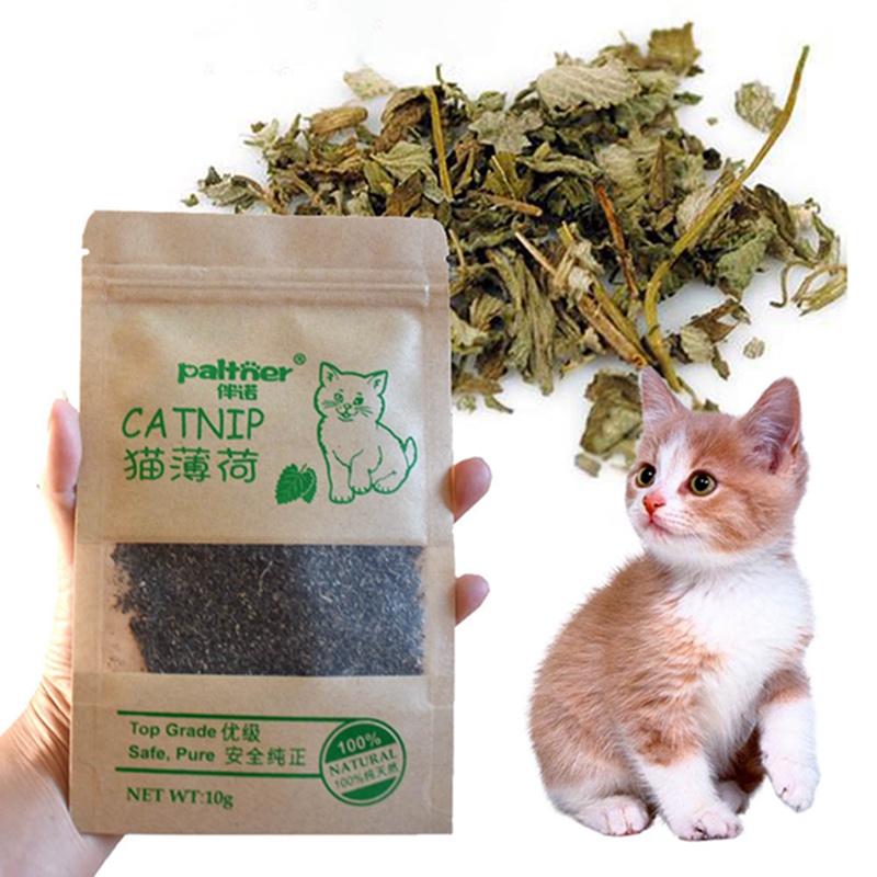 Wholesale Organic 100% Natural Premium Catnip Cattle Grass 10g Menthol Flavor Funny Non-toxic Cat Toys Pet Products Cat Supplies