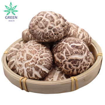 Dried Organic Shiitake Mushrooms