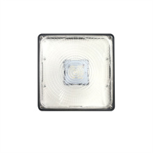 High Quality IP65 Dimmable Outdoor LED Canopy Light