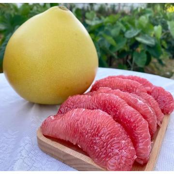Triple Red Honey Pomelo