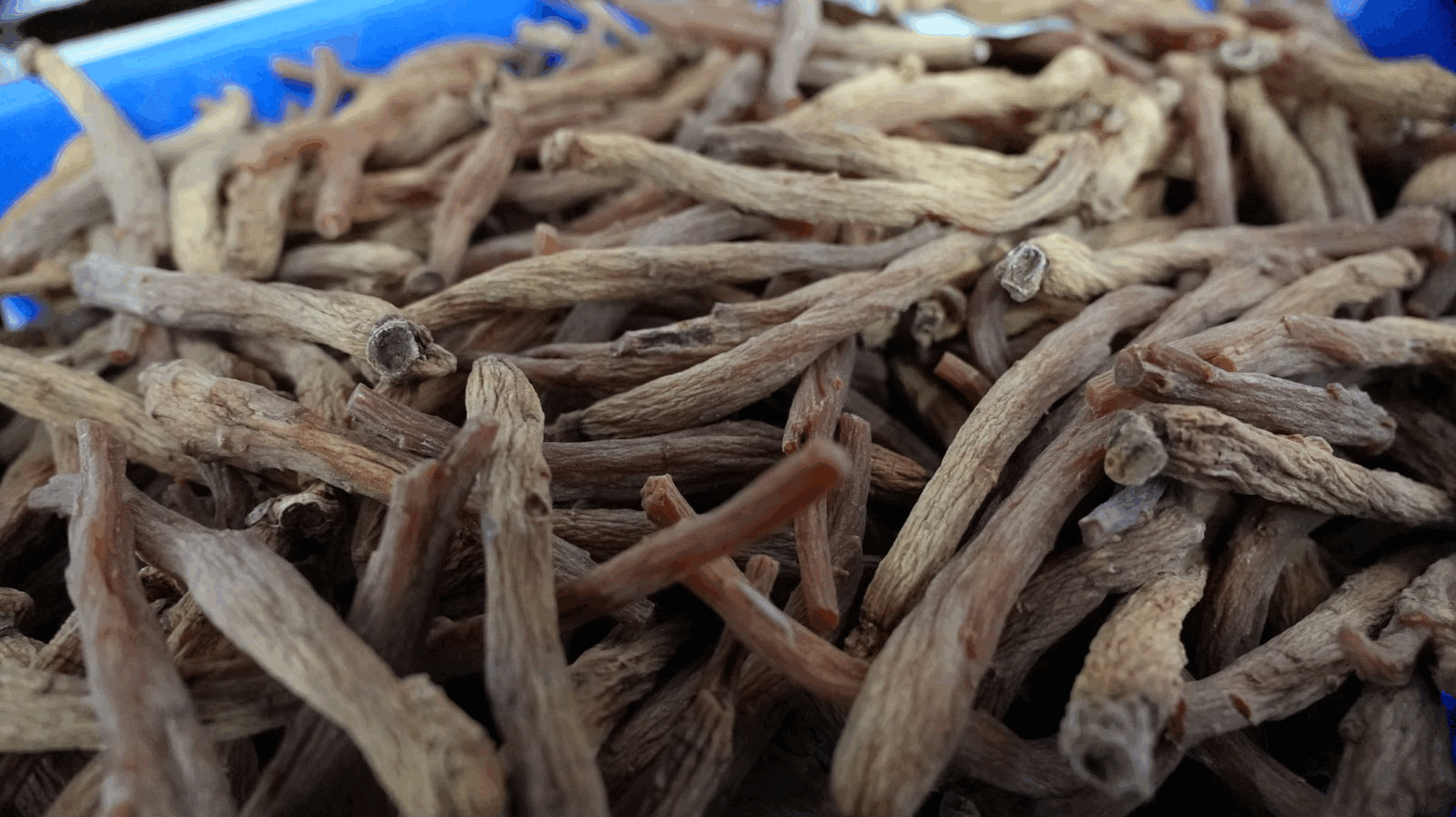 Korean Red Ginseng For Kids
