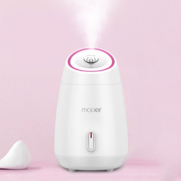 Fruit Facial Steamer Hot Mist Steam Sprayer SPA Moisturizing Face Thermal Sprayer Humidifier Deep Cleansing Beauty