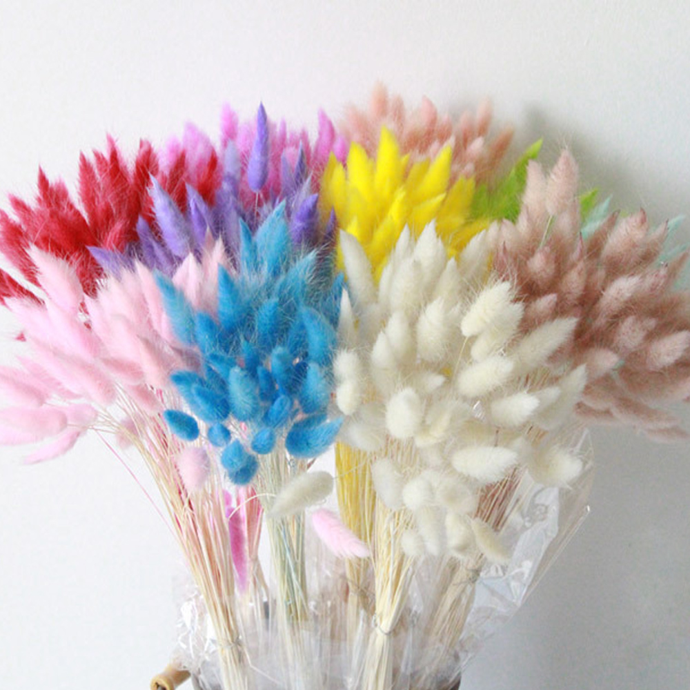 30Pcs/lot Natural Dried Flowers Rabbit Tail Grass Bunch Colorful Lagurus Ovatus Real Flower Bouquet for Home Wedding Decoration