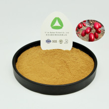 Dogwood Extract Powder Pure Natural Radix 10:1 Organic
