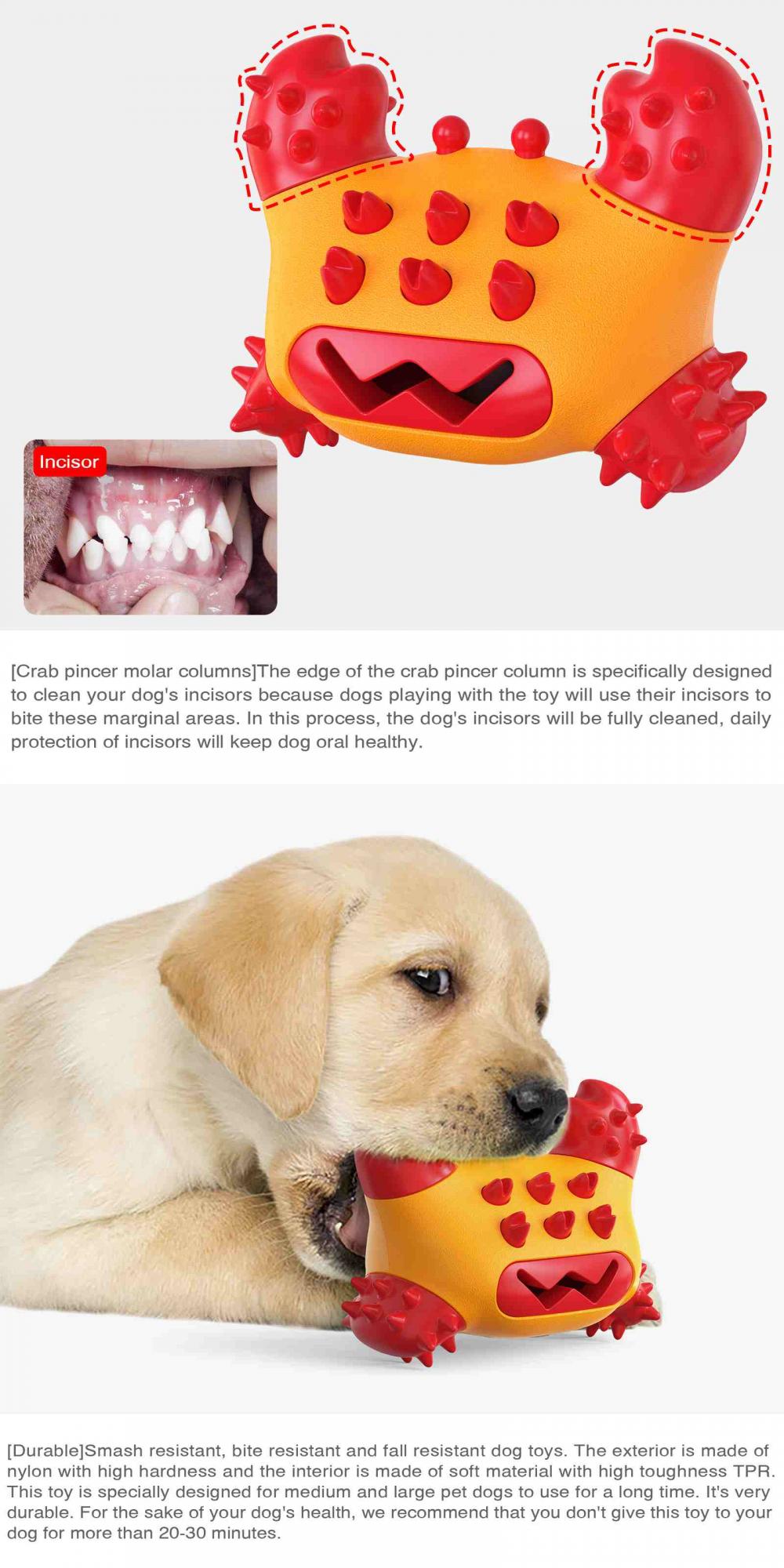 Dog Toy With Toy Inside
