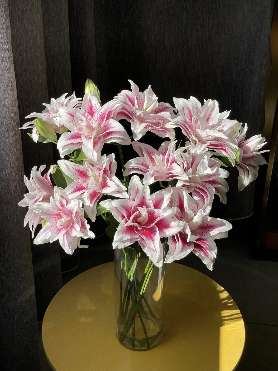 Magic Fairy Double Lily2