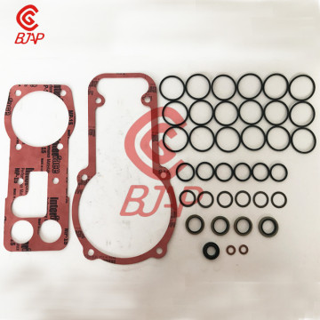 Overhaul Repair Kit for BYC Fuel Injection Pumps 6 Cylinders PB-type with RSV Speed Governor