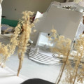 50g/lot Scene Model Tree Production Natural Quinoa Free Shipping For Architecture Model Grass Design