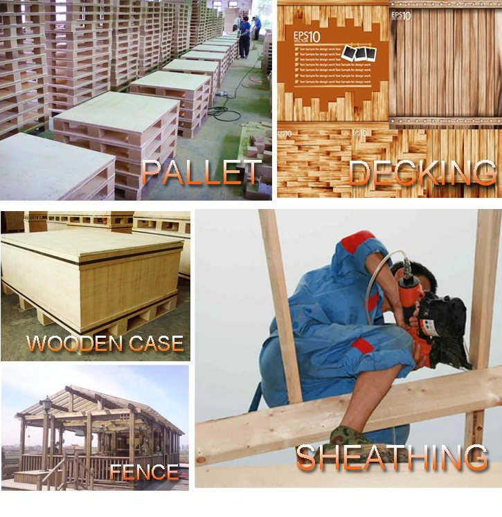 Galvanized Roofing Nails Application