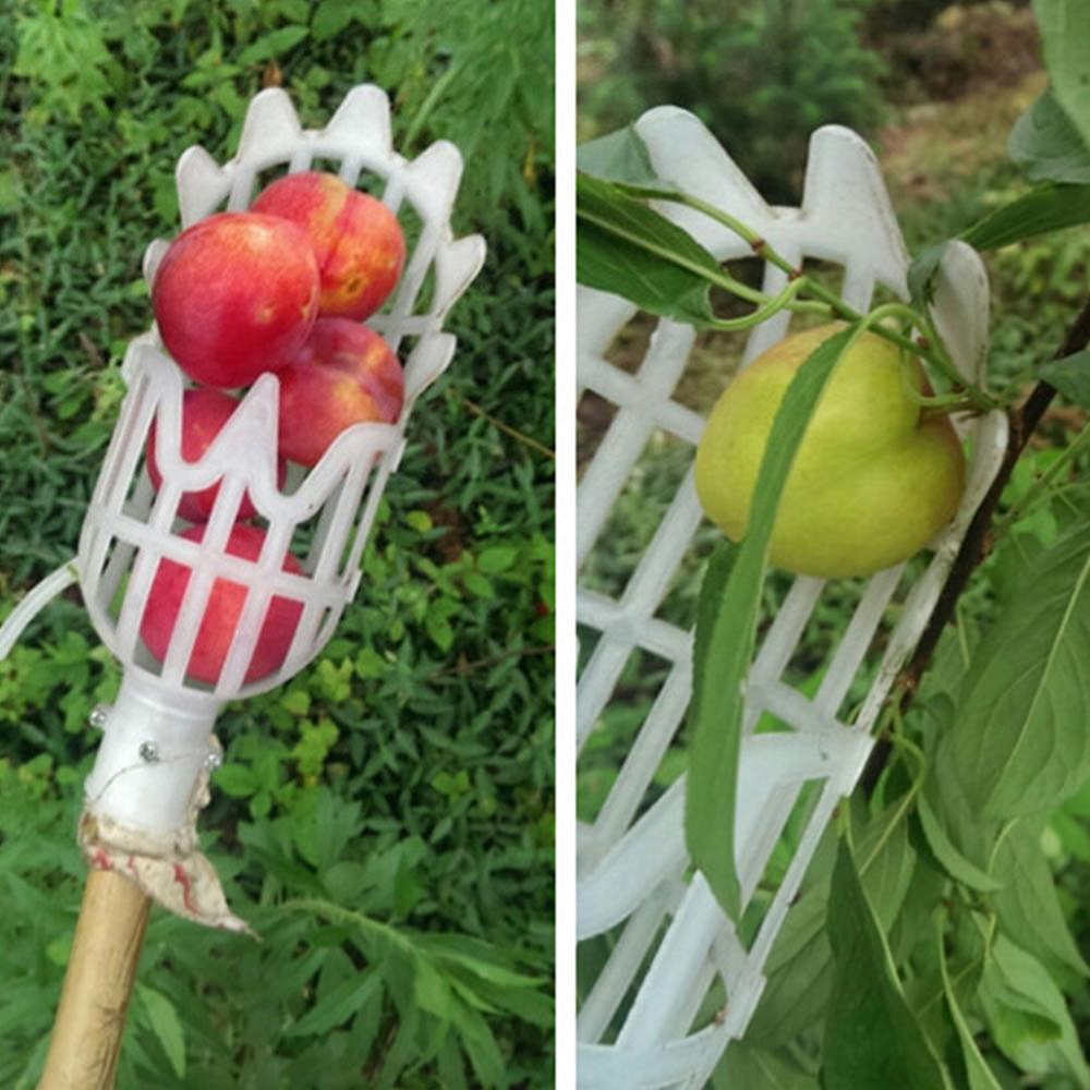 1PC Fruit Picker Greenhouse Plastic Catcher Fruit Picking Tool Farm Garden Picking Device Garden Greenhouses Tool Without Handle