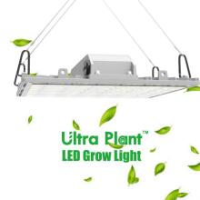 450W Dimmable Spectrum LED Grow Panel Light