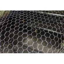 Hexagonal Wire Netting - Weave before Hot-dipped Galvanized