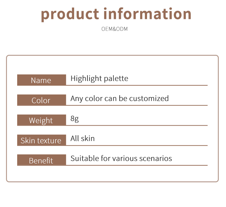 High Gloss Powder Makeup Concealer Palette_09