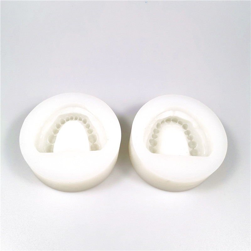 Medical Science 2pc/ set Silicone Dental Plaster Model Mold Mould of Edentulous Jaw Complete Cavity Block with hole