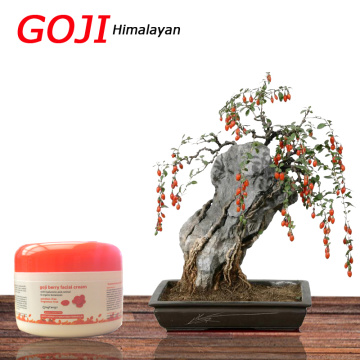 5pcs Goji Facial Cream With Hyaluronic Acid Paraben Free Fragrance Free Face Cream Anti-aging Anti Wrinkle Remove Spots