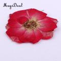10 Pcs Dried Pressed Flowers for DIY Scrapbooking Crafts Red Rose Decorate Cards Dried Flower House Decoration