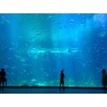 https://www.bossgoo.com/product-detail/underwater-acrylic-glass-tunnel-aquariums-62502644.html