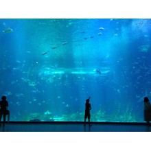 underwater acrylic glass tunnel aquariums