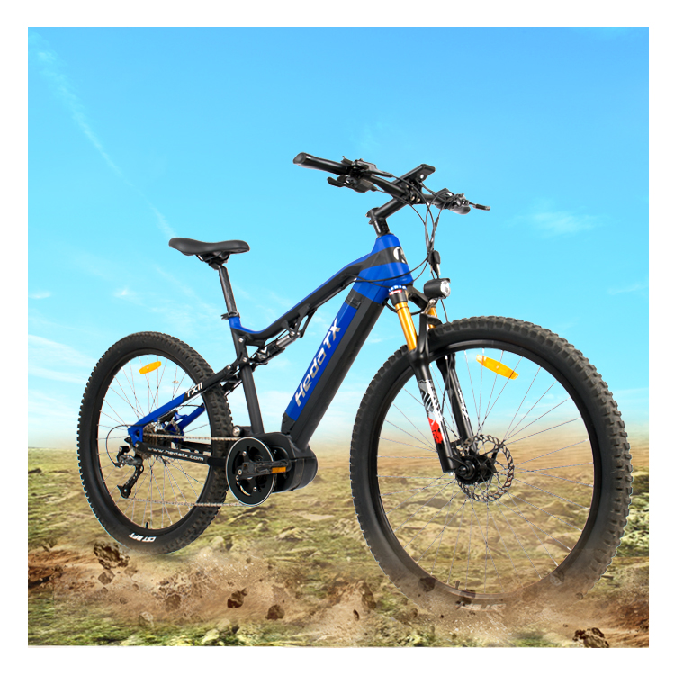 Mountain Electric Bike